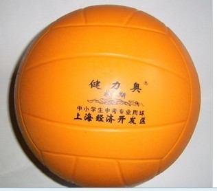 Ballon de volley - Ref 2012870 Image 1