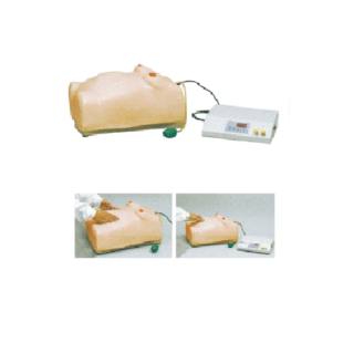 女性怀孕检查 妇科检查模型 高级电脑孕妇检查模型 怀孕检查模型