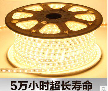 香港伟来正品5050灯带 工程型 全铜线LED3528灯带贴片灯带超亮