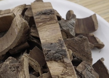 海桐皮海桐皮粉刺桐皮丁桐皮钉桐皮刺通500g粉