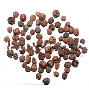 包邮十大功劳子功劳子500g