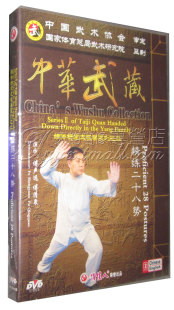 嫡传杨家太极拳之二 正版 2DVD 天韵 精练二十八势太极拳武术