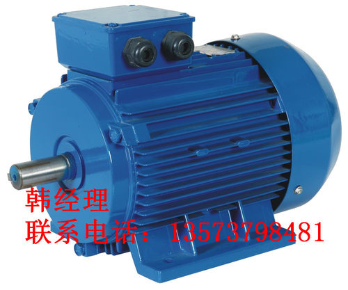 Y280S-6极三相异步电动机 马达 普通电机（45KW）江苏新大力