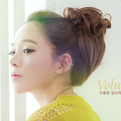 Extension cheveux - Chignon - Ref 248693 Image 1