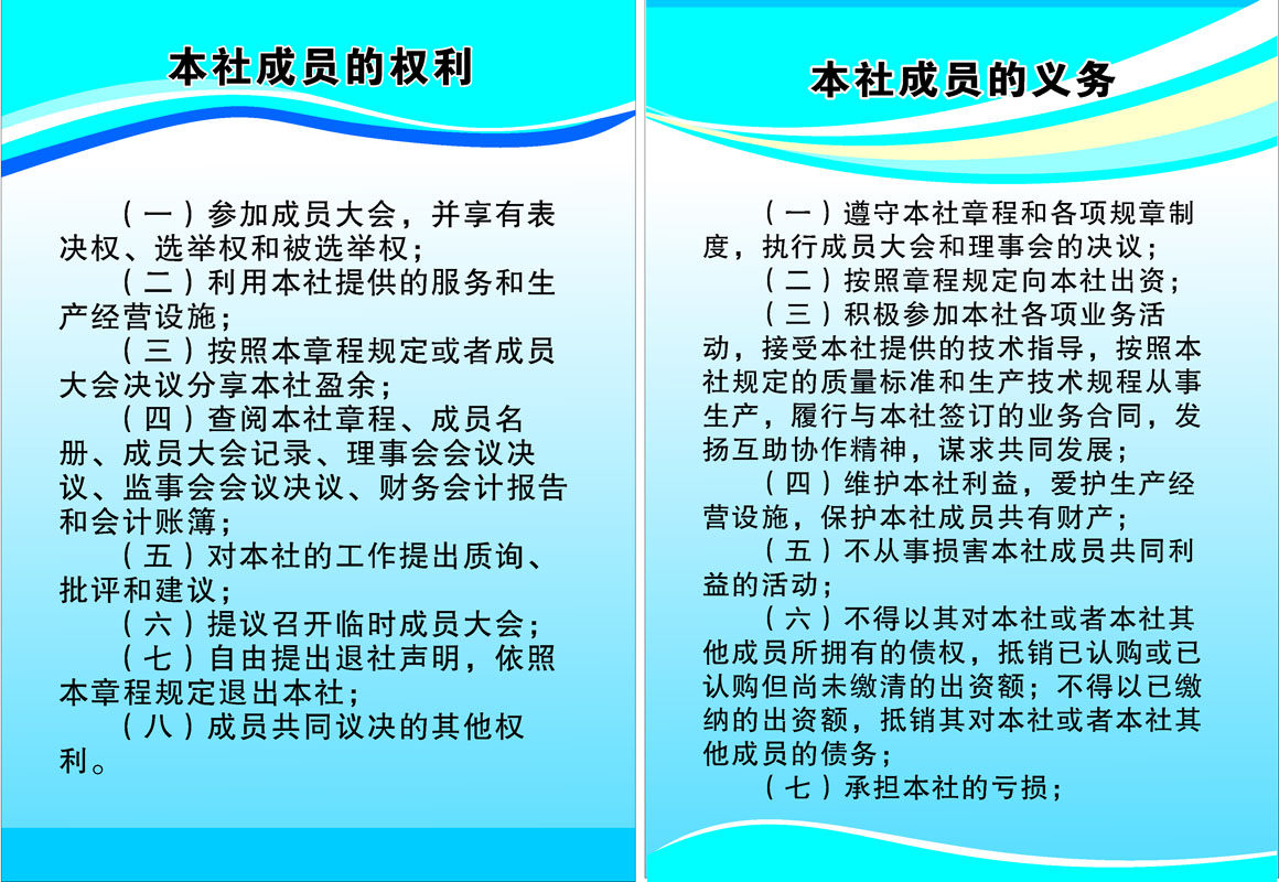 578海报印制海报展板素材168制度牌社员的权利与义务