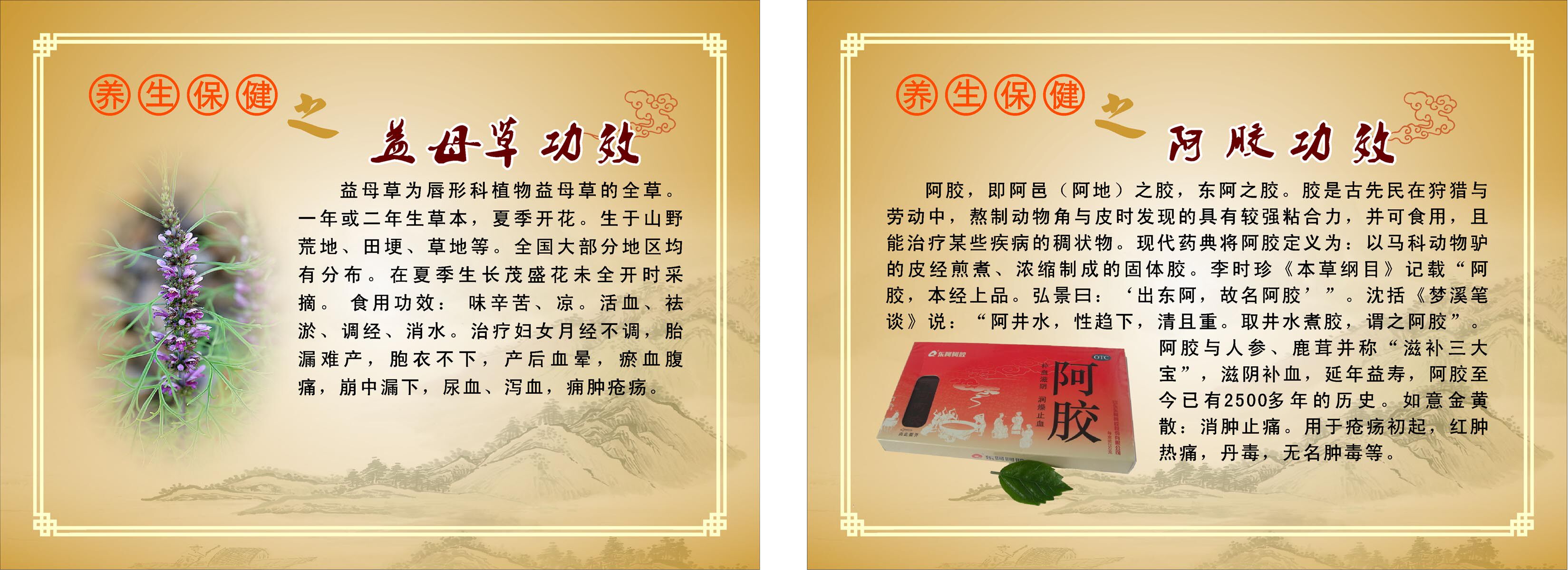 580海报印制海报展板素材269养生保健益母草阿胶功效