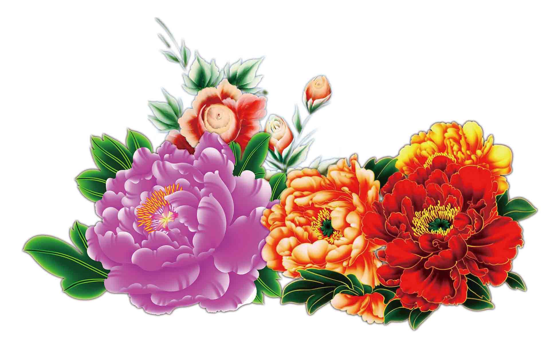 181素材鲜花卉海报展板装饰画墙画壁画挂画23彩色牡丹 ps海报印制