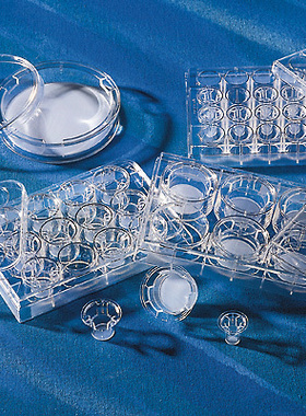 Corning 3415 Transwell板 24孔 直径6.5mm 孔径3.um 碳酸酯膜 块