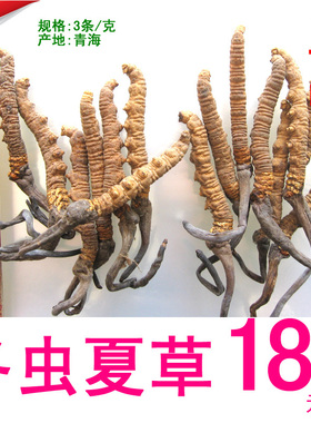 青海玉树冬虫夏草3根/克188元/克