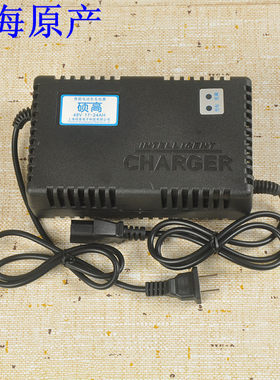 绿亮依莱达绿源专用电动车充电器48V12 20ah60V20AH电瓶车充电器