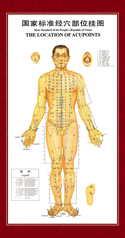 海报印制338人体海报展板197人体国家标准穴部位挂图 非高清图