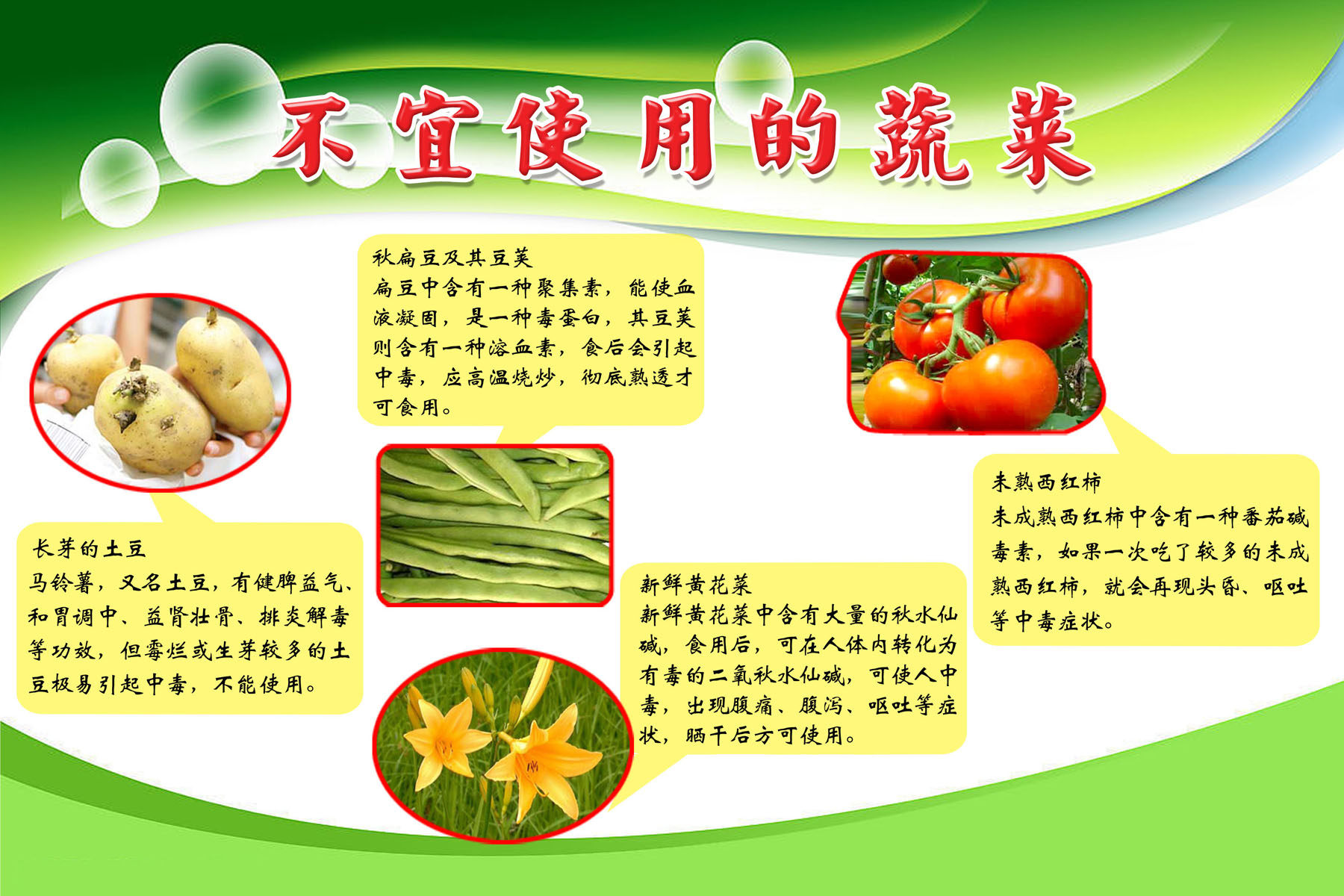 海报印制208海报展板素材(制作)1676 不宜使用的蔬菜