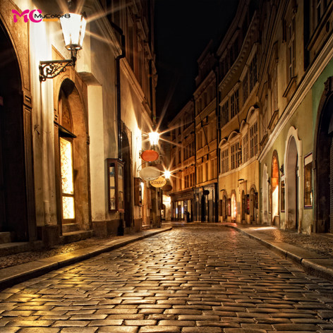 mycolor8 ps 婚纱 影楼摄影背景 夜晚 街景 喷绘专用大图14-397