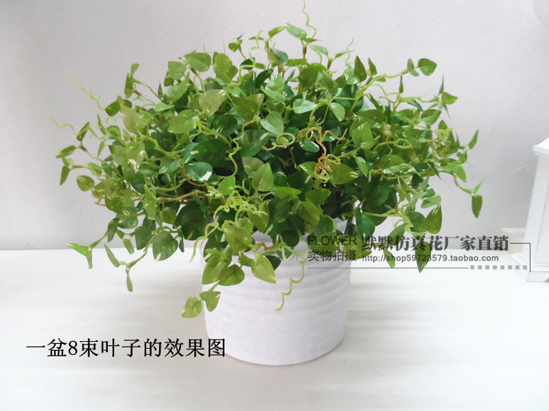 迷你仿真绿植5叉绿萝叶 猪心叶插花配叶绿植墙面装饰绢布把束小叶