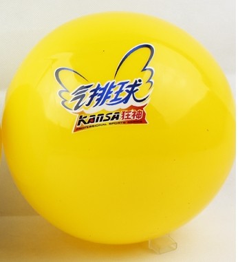 Ballon de volley - Ref 2012110 Image 2