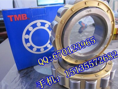 浙江天马TMB轴承 NUP NU304EM NU304 NU304E RN RNU 32304E