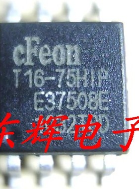 贴片 T16-75HIP EN25T16-75HIP 闪存BIOS芯片 SOP-8宽体 可直拍