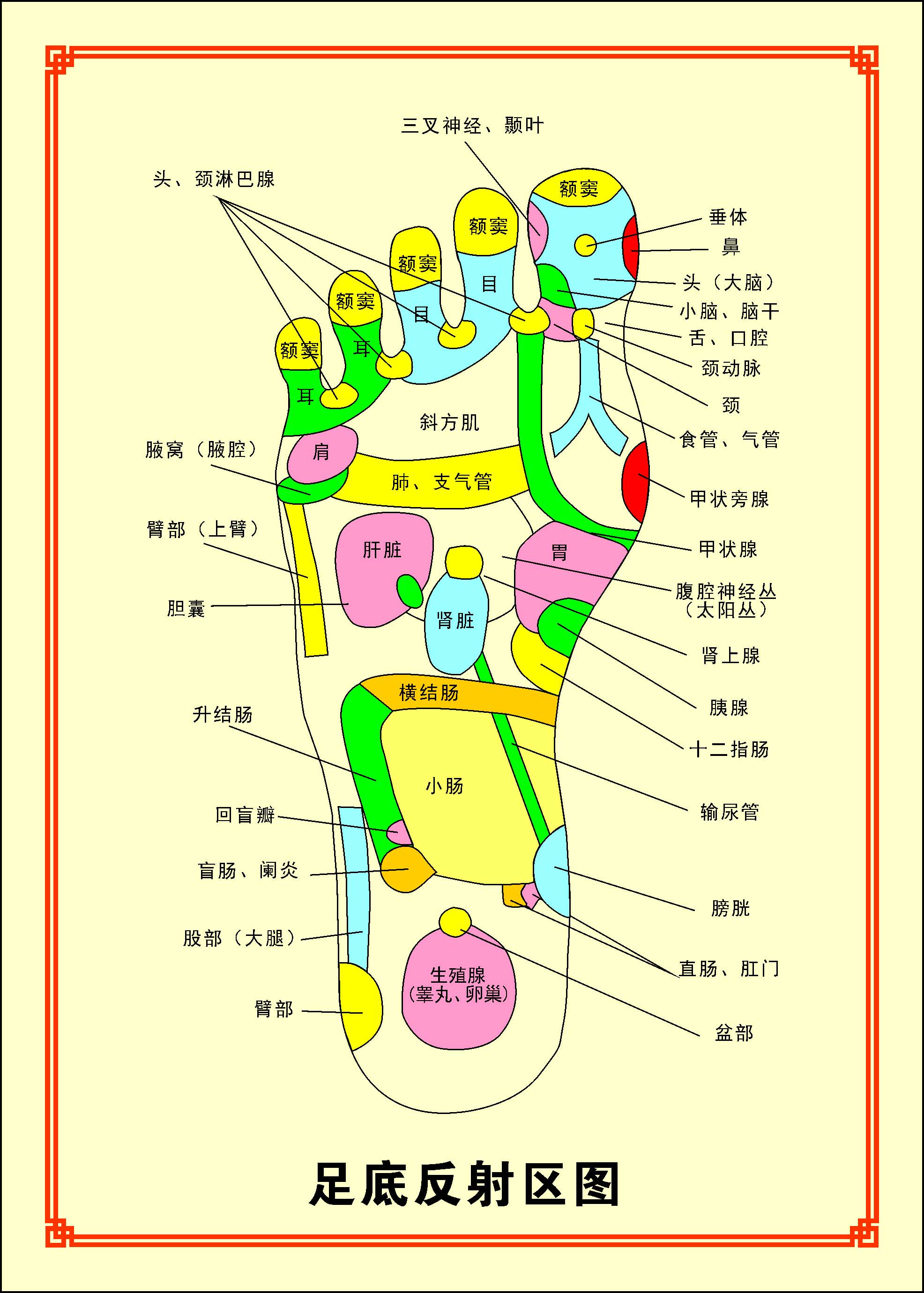 704海报印制海报展板写真喷绘贴纸素材5足疗道浴足底反射区