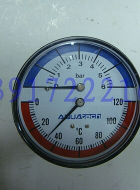 温度压力表/Y80MM 0-6MPA 0-120°C/美国进口