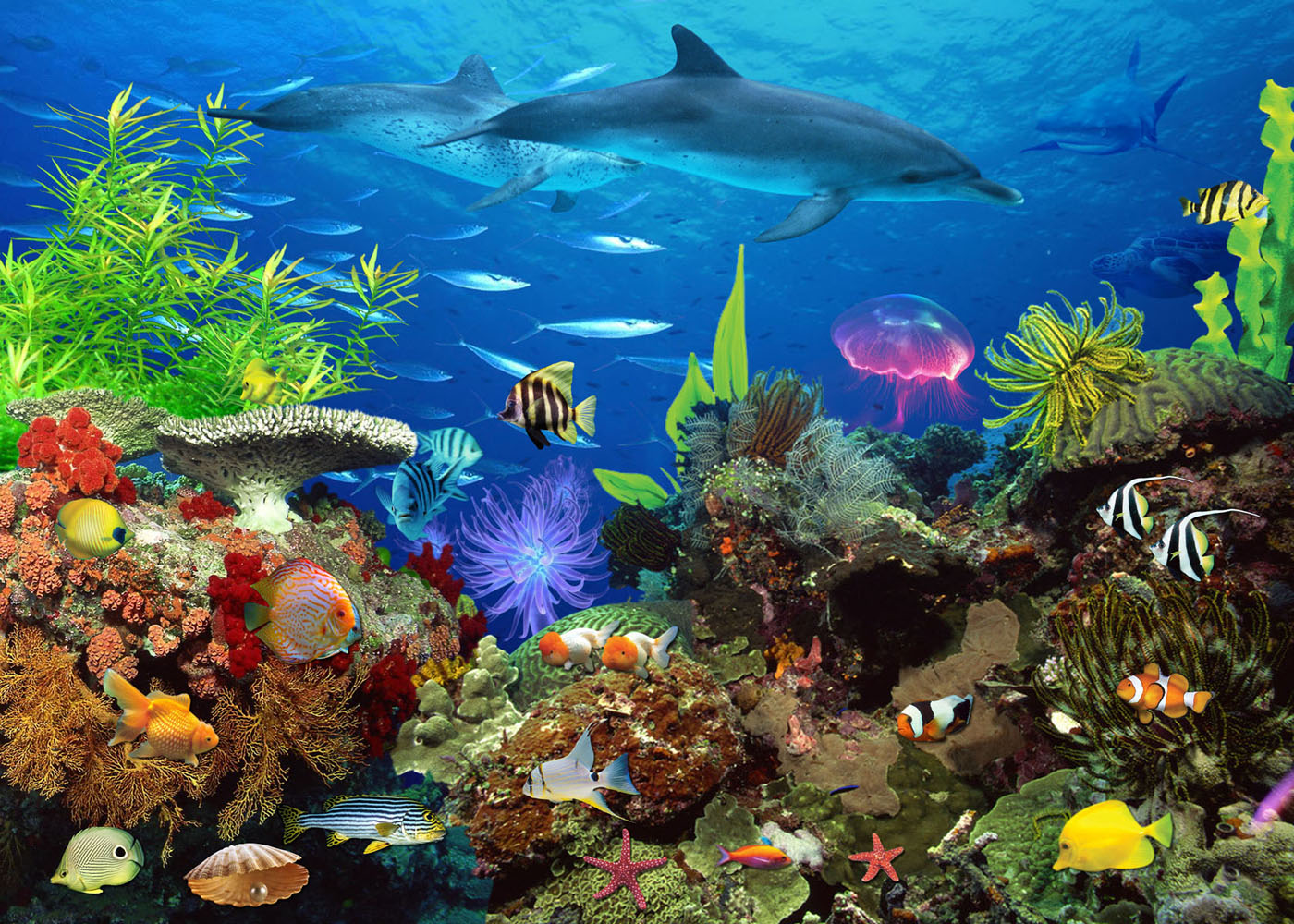 429海报印制海报展板素材93海底景色图片 水族箱背景