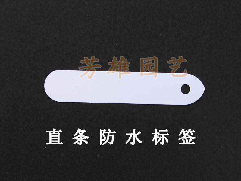 花卉,树木,兰花,种子园艺种植标识牌 直条防水标签插标100片