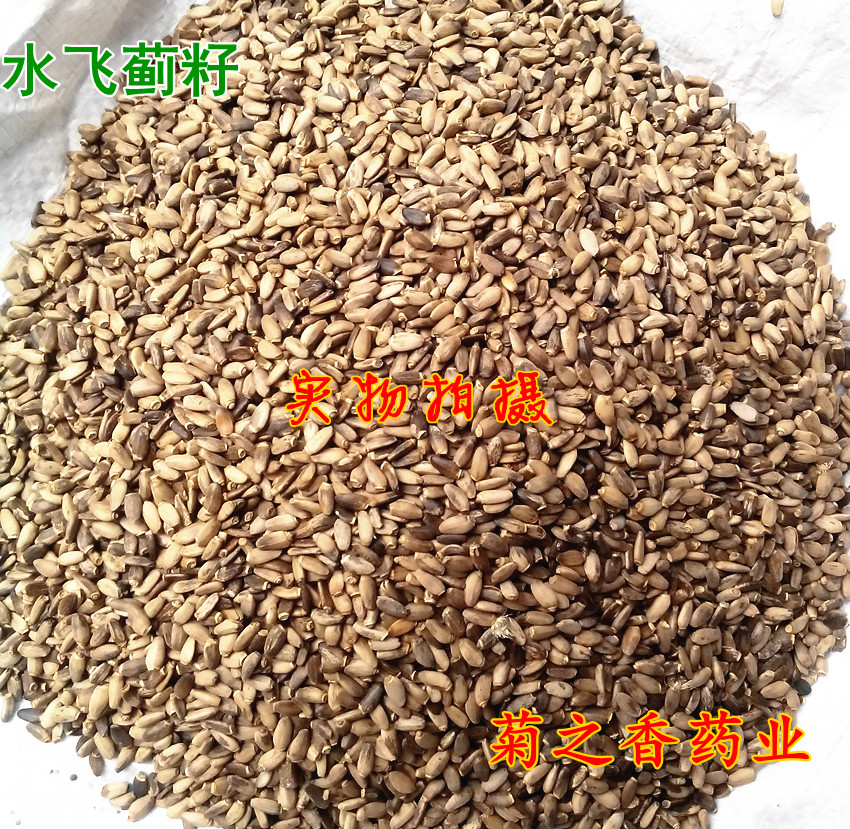 中药材水飞蓟籽水飞蓟 奶蓟种子   500克免费磨粉