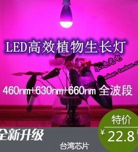 特价包邮！LED多肉植物补光灯花草蔬菜促生长灯育苗灯3W5W7W9W12W