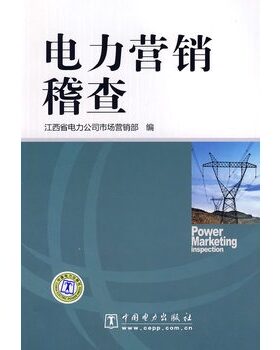 正版电力营销稽查