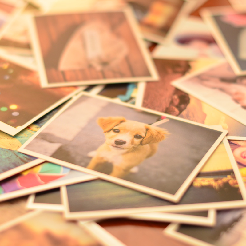 定做lomo卡片 钱包照片制作 diy卡片定制 创意相片墙纪念照25张|ruв категории персональные настройки/разработка услуг/DIY, ежедневно/украшения на заказ, ЛОМО карты настройки - от Buy2taobao.com для оказания профессиональной услуги покупки агента Taobao