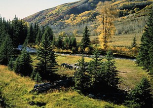 生产计件工资管理网络版 服装工资计件管理 工资管理+安装录像