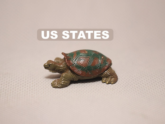 美国正版 矮橼象龟 模型摆件 做工精致 约5厘米 启蒙认知动物