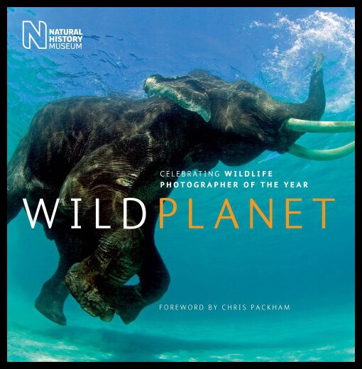【预售】Wild Planet: Celebrating Wildlife Photographer of