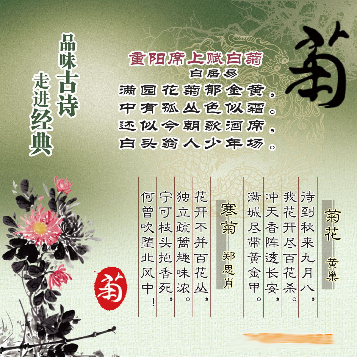 605办公装饰海报展板素材415学校版面古诗菊花白居易黄巢郑思肖