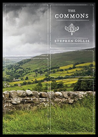 美国库房发货，通常付款后5-8周到货！