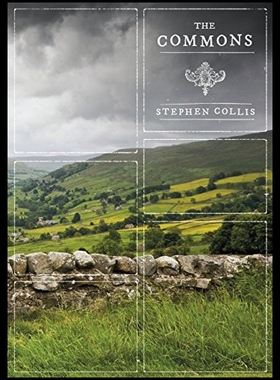 【预售】The Commons