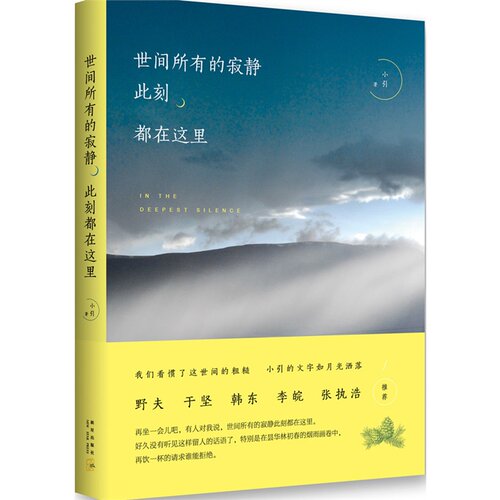 现货正版 世间所有的寂静此刻都在这里 小引著 文学书籍  赠送人文画家马叙倾情绘制明信片 野夫 于坚 韩东 李皖 张执浩力荐