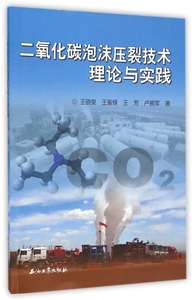 【正版】二氧化碳泡沫压裂技术理论与实践
