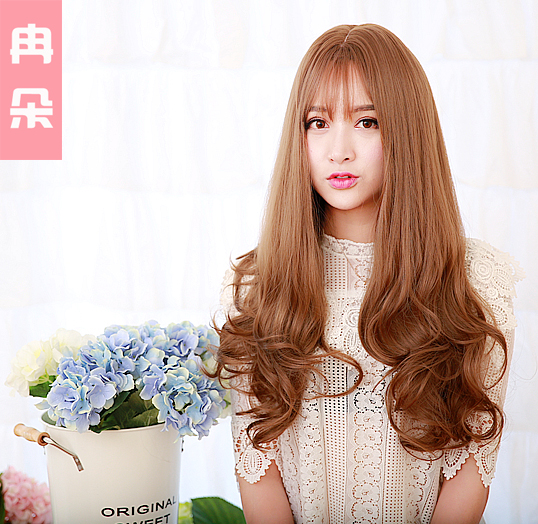 Perruque Les cheveux longs - Ref 2613594 Image 1