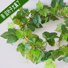 �߷��滨�����~���ټٻ����� �^�z����������~���ٗl ���Ѽ��b�