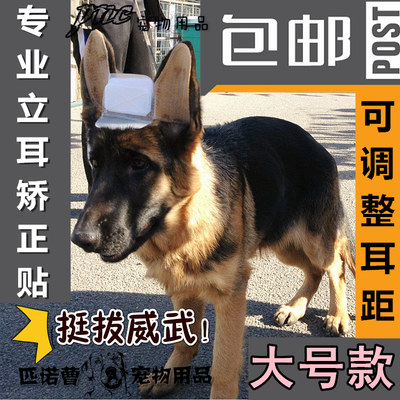 德牧幼犬可调耳距立耳贴