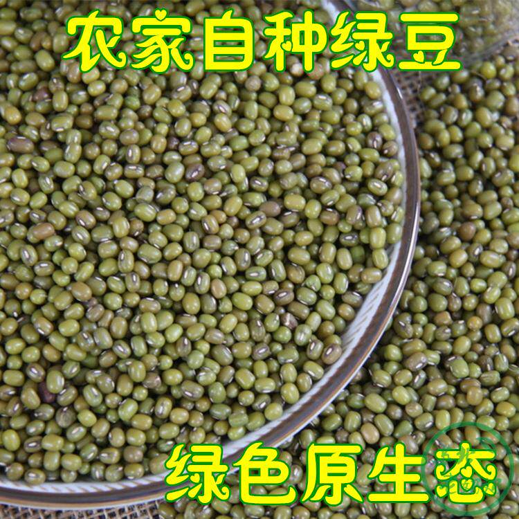 农村自种特产小绿豆 自产笨绿豆清热解暑绿豆汤五谷杂粮5斤包邮
