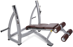 商用健身卧推架 健身房 阳锐7340 下斜卧推架