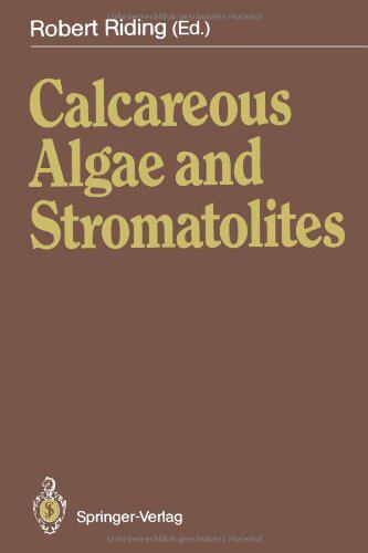 美国库房发货,通常付款后5-8周到货！