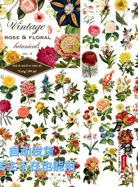 欧式复古唯美手绘花朵花卉百合玫瑰万寿菊郁金香 PNG免扣设计素材