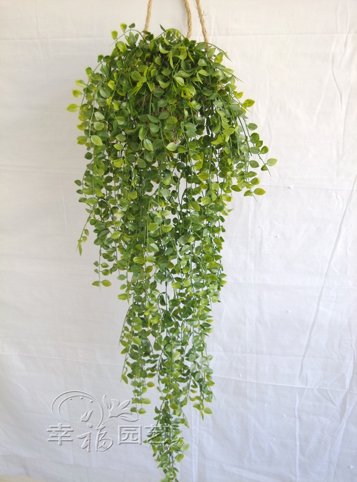 仿真吊兰花加密藤条管道装饰植物