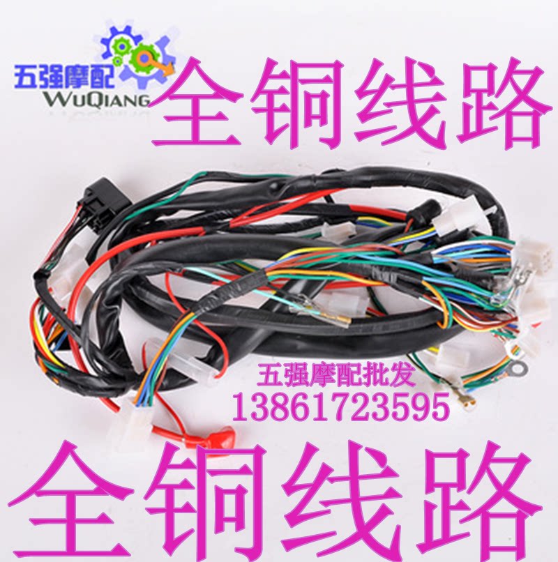 摩托车巧格100线路福喜100讯鹰鬼火迅鹰100全车线路主线战速线路