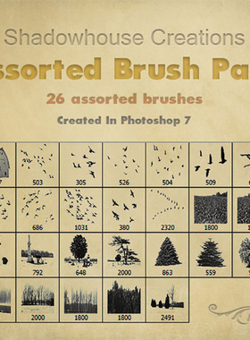 PS 高清晰房屋飞鸟田野树木等什锦PS笔刷