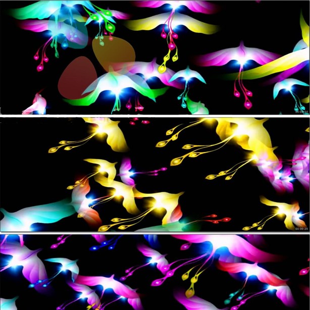 七彩凤凰飞舞 裸眼3D幻影全息婚礼素材 高端婚礼led背景 高清动态