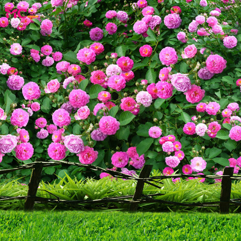 【是发QQ邮箱的一张JPG格式的图片】