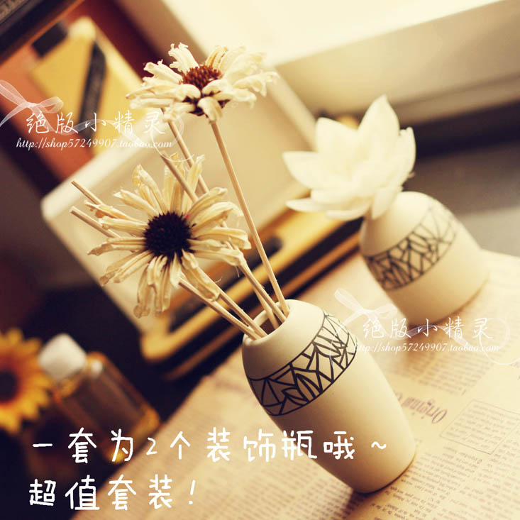 欧式古典装饰陶瓷香熏无火香薰精油挥发藤条香氛2件套太阳花藤枝